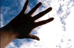 20090604_004.jpg