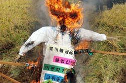 54fd54fdx45gd45.jpg