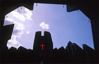 8778.jpg