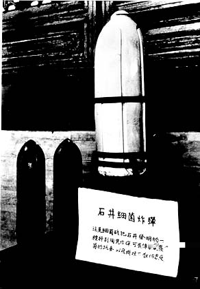 img07.jpg