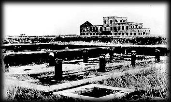 img09.jpg