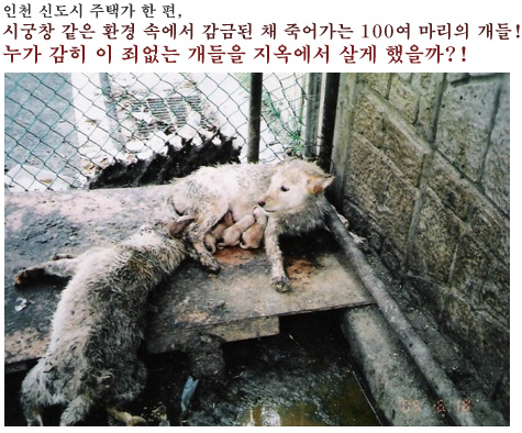 jangsu01.jpg