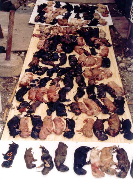 jangsu07.jpg