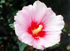 sdfdsf2211.jpg