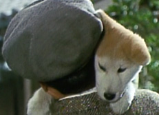 20100214_007.jpg