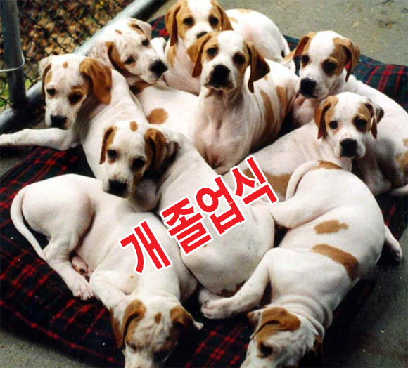20100215_003.jpg