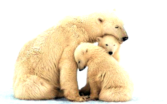 20100311_002.png
