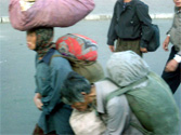 20100721_003.jpg