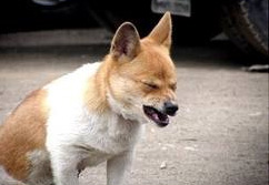 20100920_0003.jpg
