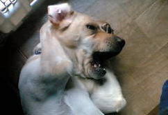 20100920_0004.jpg
