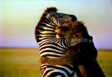 20111107_0021.jpg