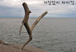 거침없는 하이킥!