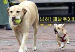 님하! 제발주삼!!