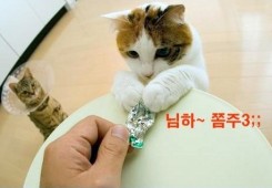 님하~ 쫌주삼;;