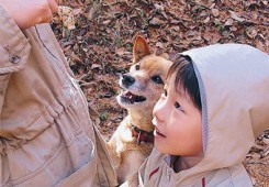 같은 이심전심 마음