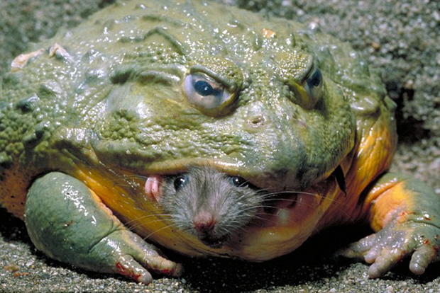 20120115_0026.jpg