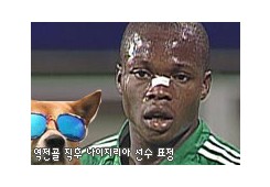 역전골 직후 나이지리아 선수 표정... ㅋㅋㅋ