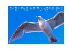 꿈을 가지고 날아 보세요